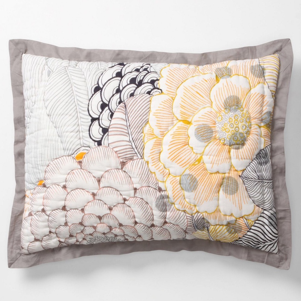 Anthropologie arrosa pillows